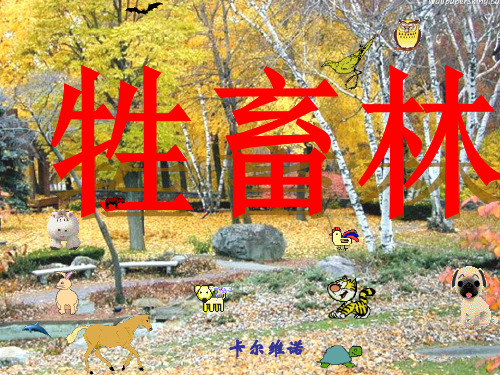 牲畜林精品PPT课件
