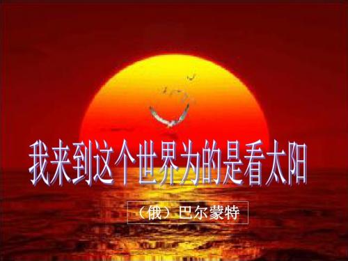 1我来到这个世界为的是看太阳