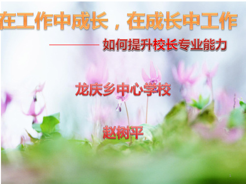 在工作中成长-在成长中工作 PPT课件