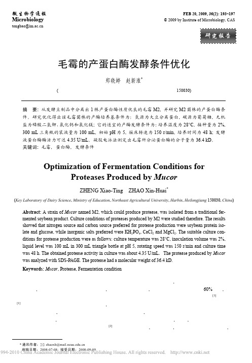 毛霉的产蛋白酶发酵条件优化