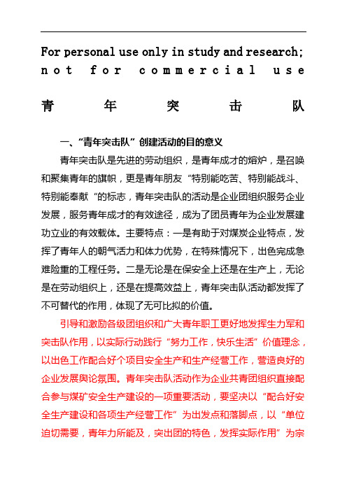 青年突击队