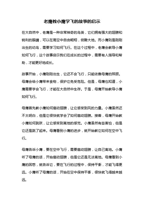 老鹰教小鹰学飞的故事的启示