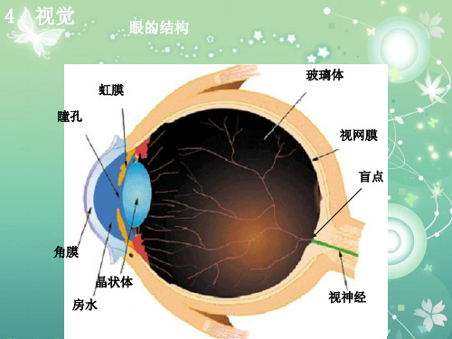 视觉PPT教学课件