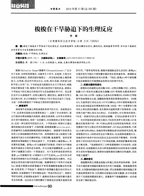 梭梭在干旱胁迫下的生理反应