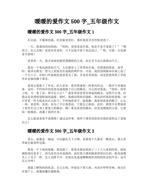 暖暖的爱作文500字五年级作文