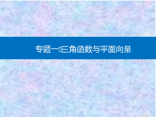 2021高考数学复习课件：专题一 微专题1 三角函数与解三角形 