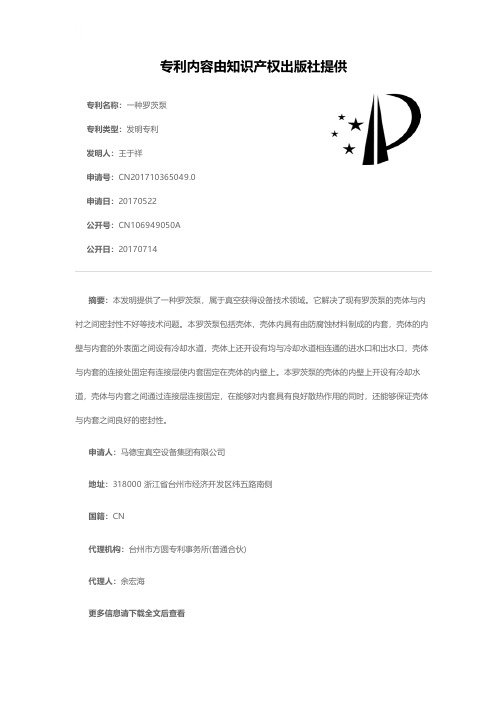 一种罗茨泵[发明专利]