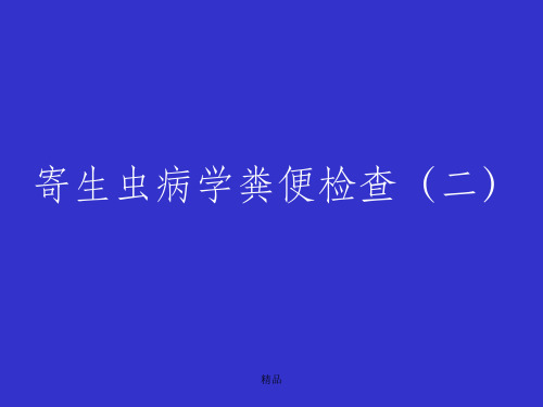寄生虫病学粪便检查(二)