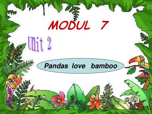 六年级英语Pandas-love-bamboo课件