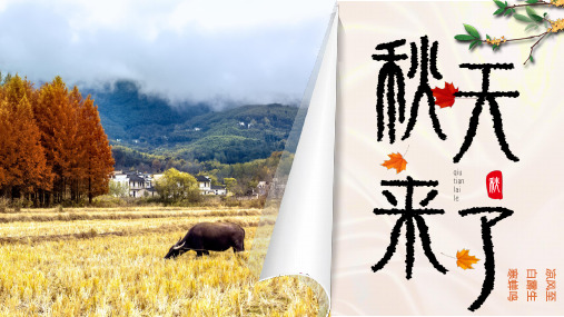 2020年立秋秋天风景画册金色简约PPT