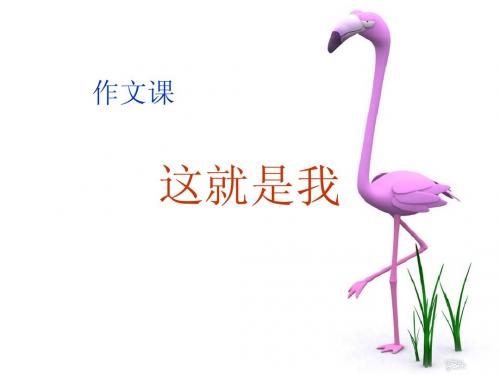《这就是我》作文课件