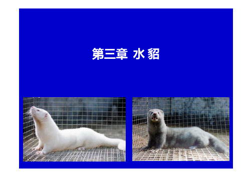 特种动物养殖第三章 水貂