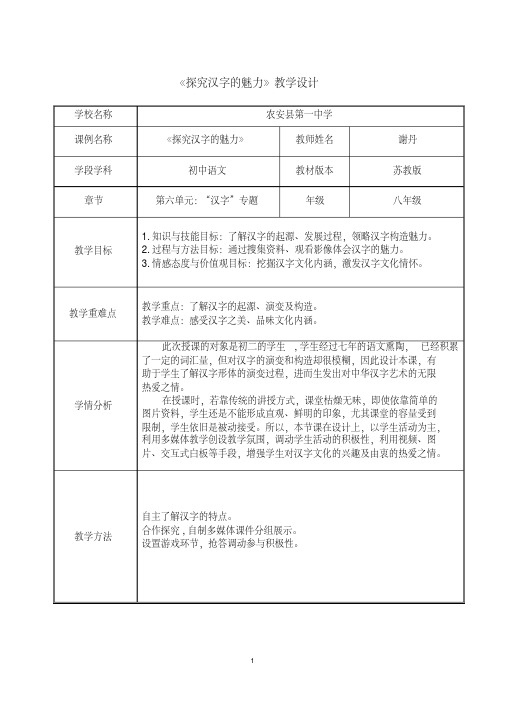 《探究汉字的魅力》