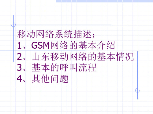 GSM网络基本知识介绍-1101详解