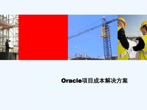 Oracle项目成本解决方案解析PPT(27张)