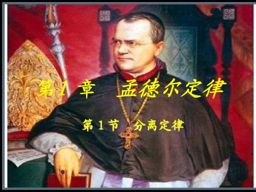 分离定律