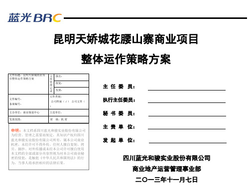 某商业项目整体运作策略方案(PPT 38页)