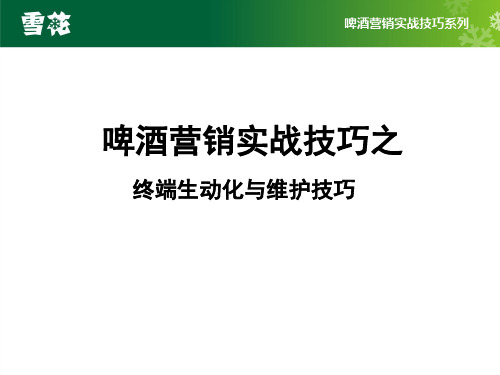 华润雪花啤酒终端生动化陈列标准培训