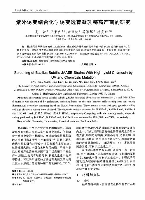 紫外诱变结合化学诱变选育凝乳酶高产菌的研究