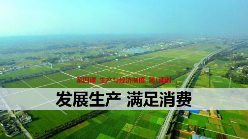 人教版高中政治必修1优质课件6：4.1 发展生产 满足消费