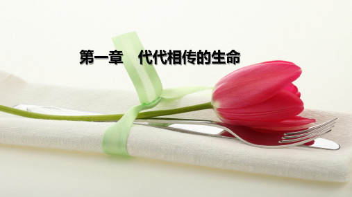 浙教版七年级科学下册 第一章代代相传的生命