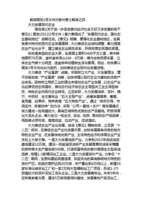 解读国发2号文件对贵州意义解读之4