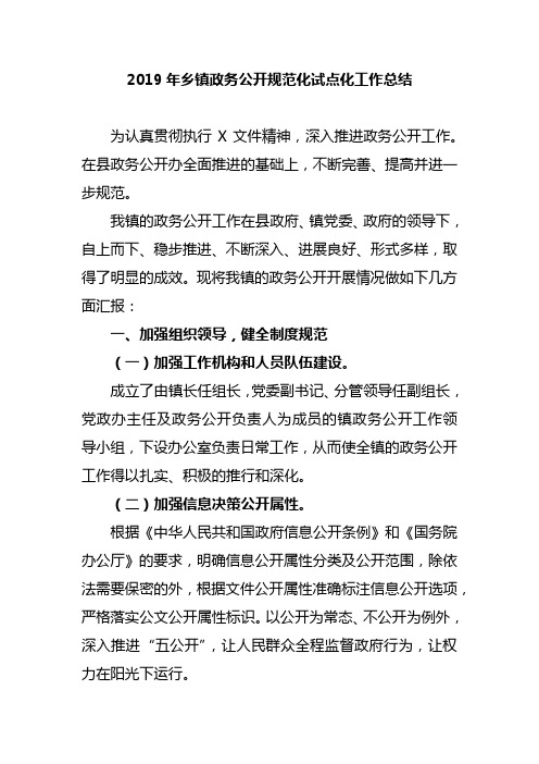 2019年乡镇政务公开规范化试点化工作总结