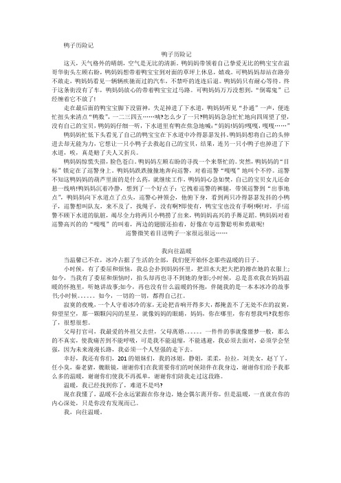 鸭子历险记
