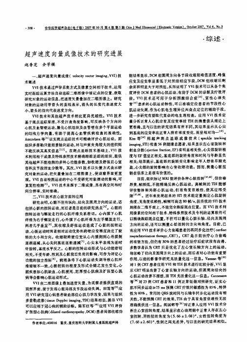 超声速度向量成像技术的研究进展
