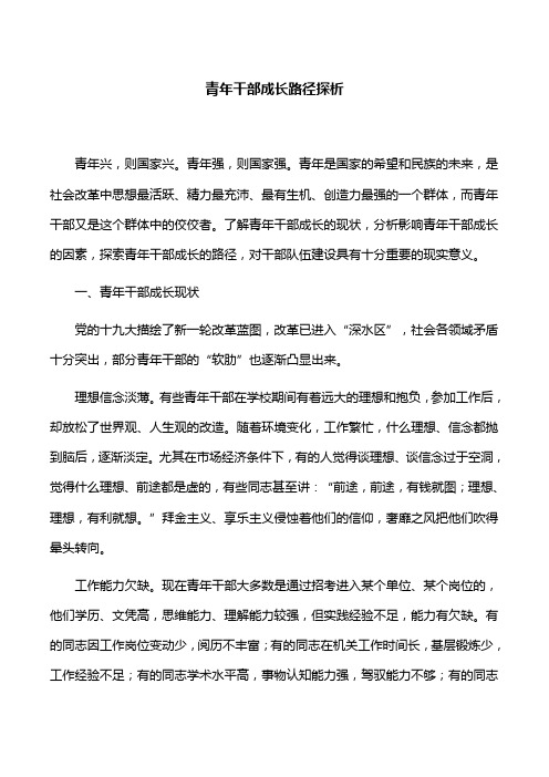 【经验交流】青年干部成长路径探析