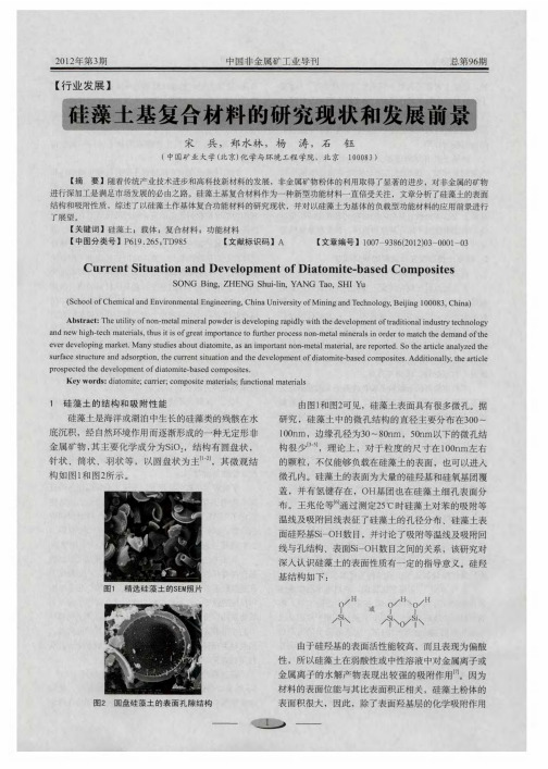 硅藻土基复合材料的研究现状和发展前景