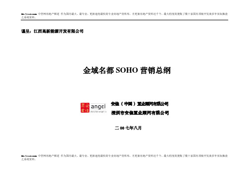 2007年8月南昌金域名都SOHO营销总纲