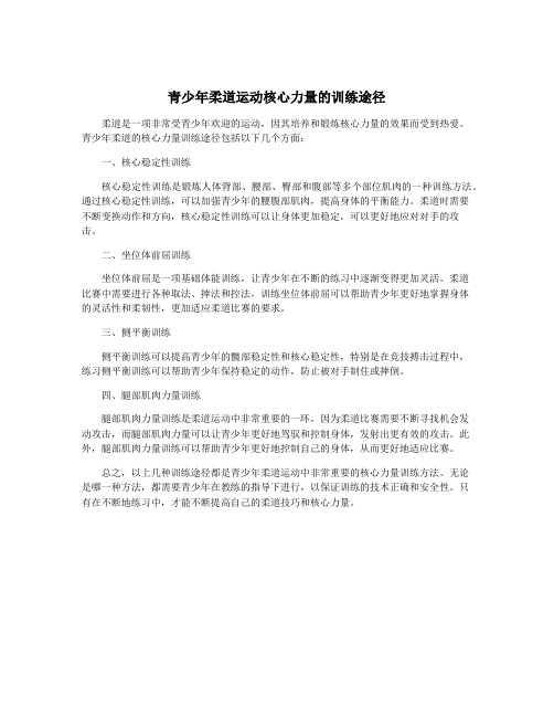 青少年柔道运动核心力量的训练途径