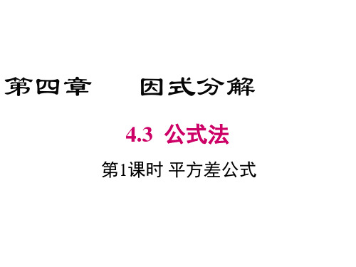 4.3.1平方差公式法因式分解(北师大版)