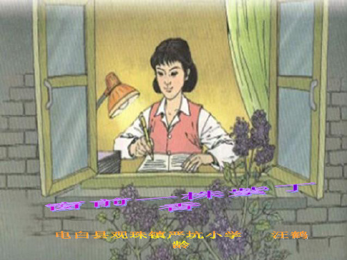 窗前一株紫丁香优秀课件