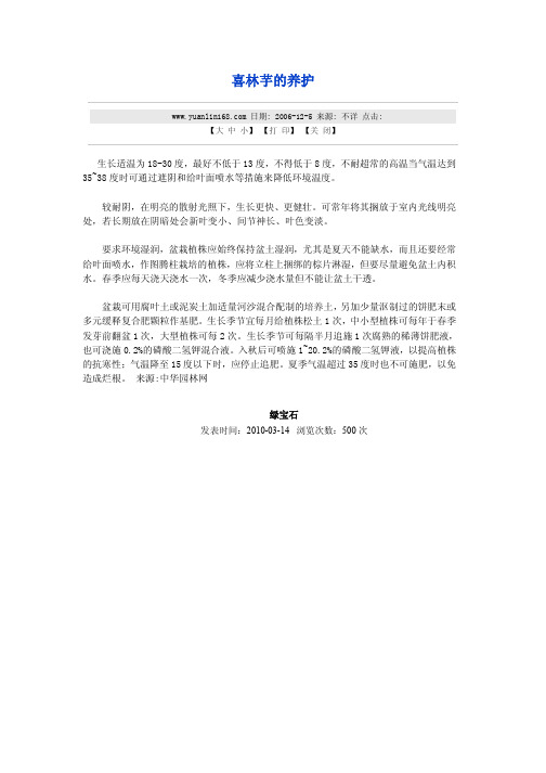 喜林芋的养护