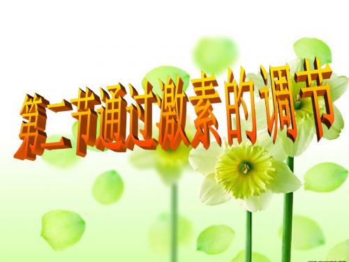 2-2激素调节1
