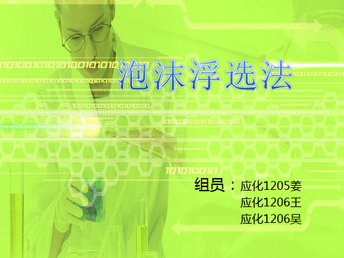泡沫浮选法ppt