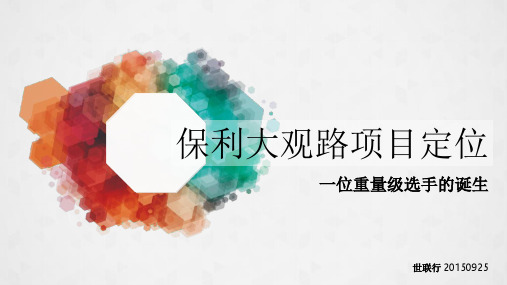 广州保利小新塘项目定位报告