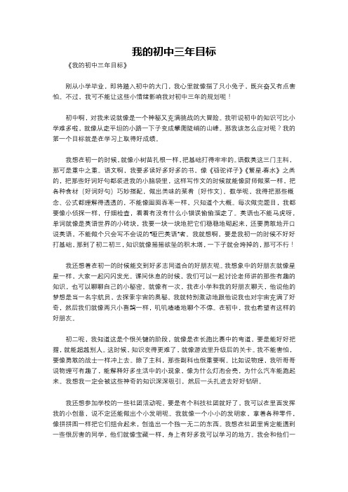 我的初中三年目标