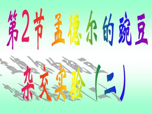 孟德尔的豌豆杂交实验(二)