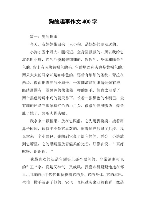 狗的趣事作文400字