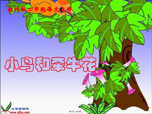鲁教版二年级上册小鸟和牵牛花3(共14张PPT)优秀