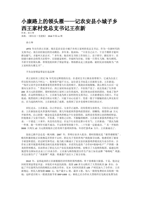 小康路上的领头雁——记农安县小城子乡西王家村党总支书记王在新
