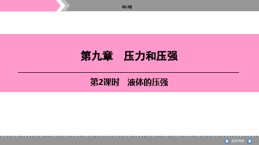 物理中考总复习第9章 第2课时 液体的压强