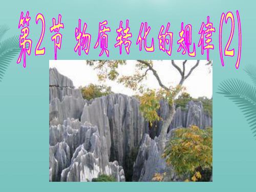 【全版】物质转化的规律推荐PPT