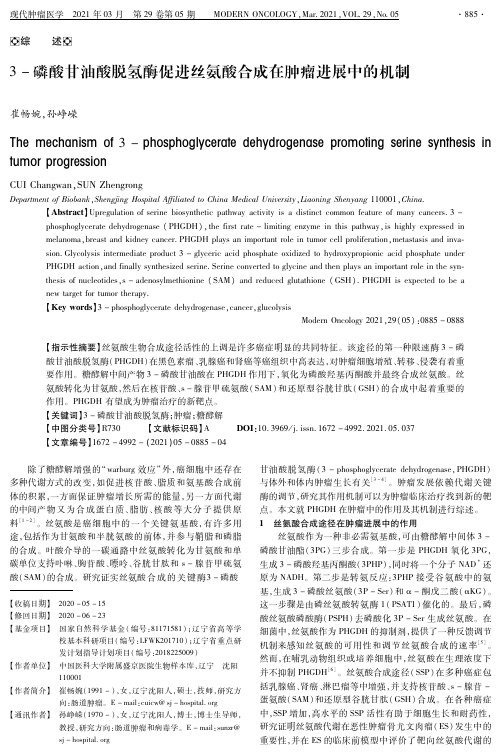 3-磷酸甘油酸脱氢酶促进丝氨酸合成在肿瘤进展中的机制