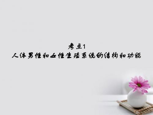 广东省中考生物第六章考点16复习课件