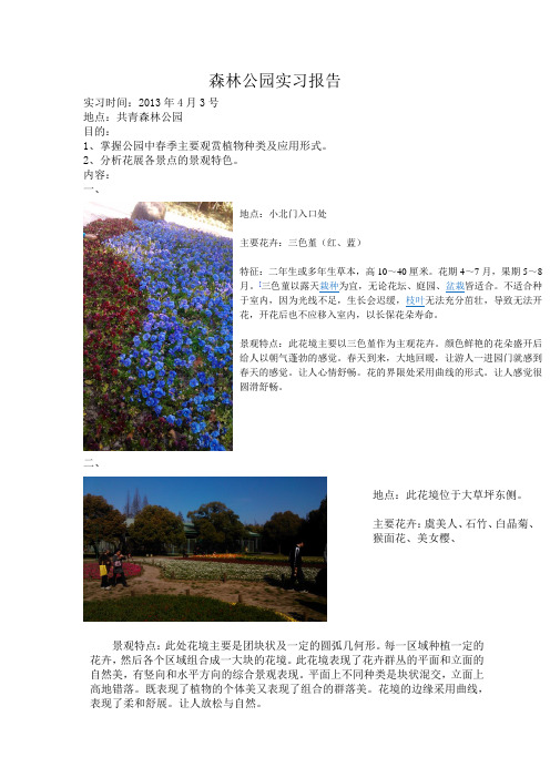 森林公园植物配置实习报告