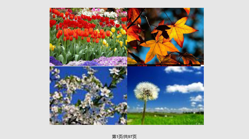 马克思世界的物质性及其发展规律PPT课件